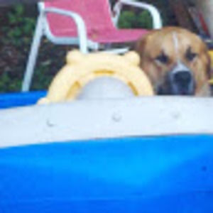 Meet your Posher, Wendy